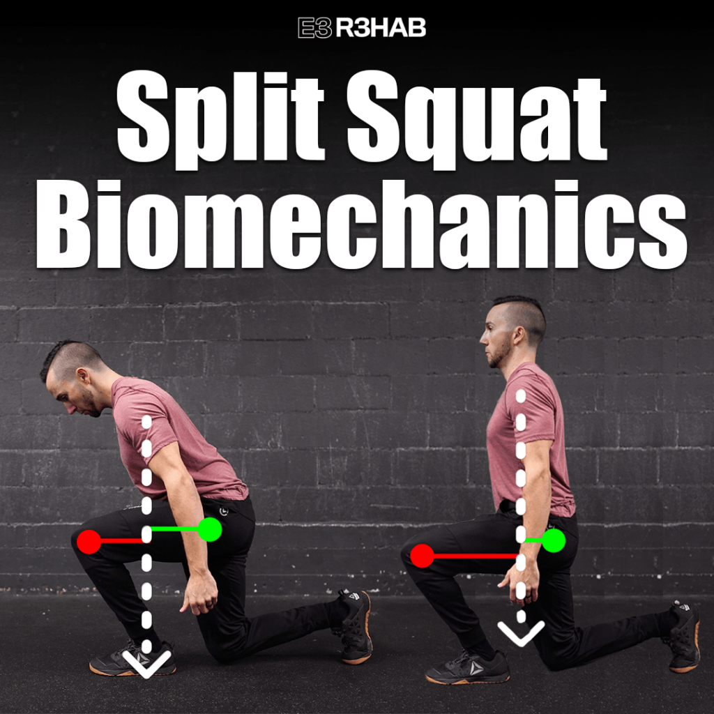 Split Squat Biomechanics And Performance - E3 Rehab