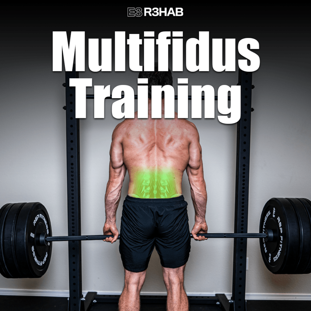 Multifidus Training E Rehab