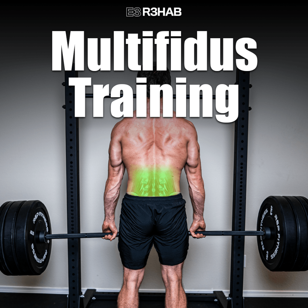 multifidus-training-e3-rehab