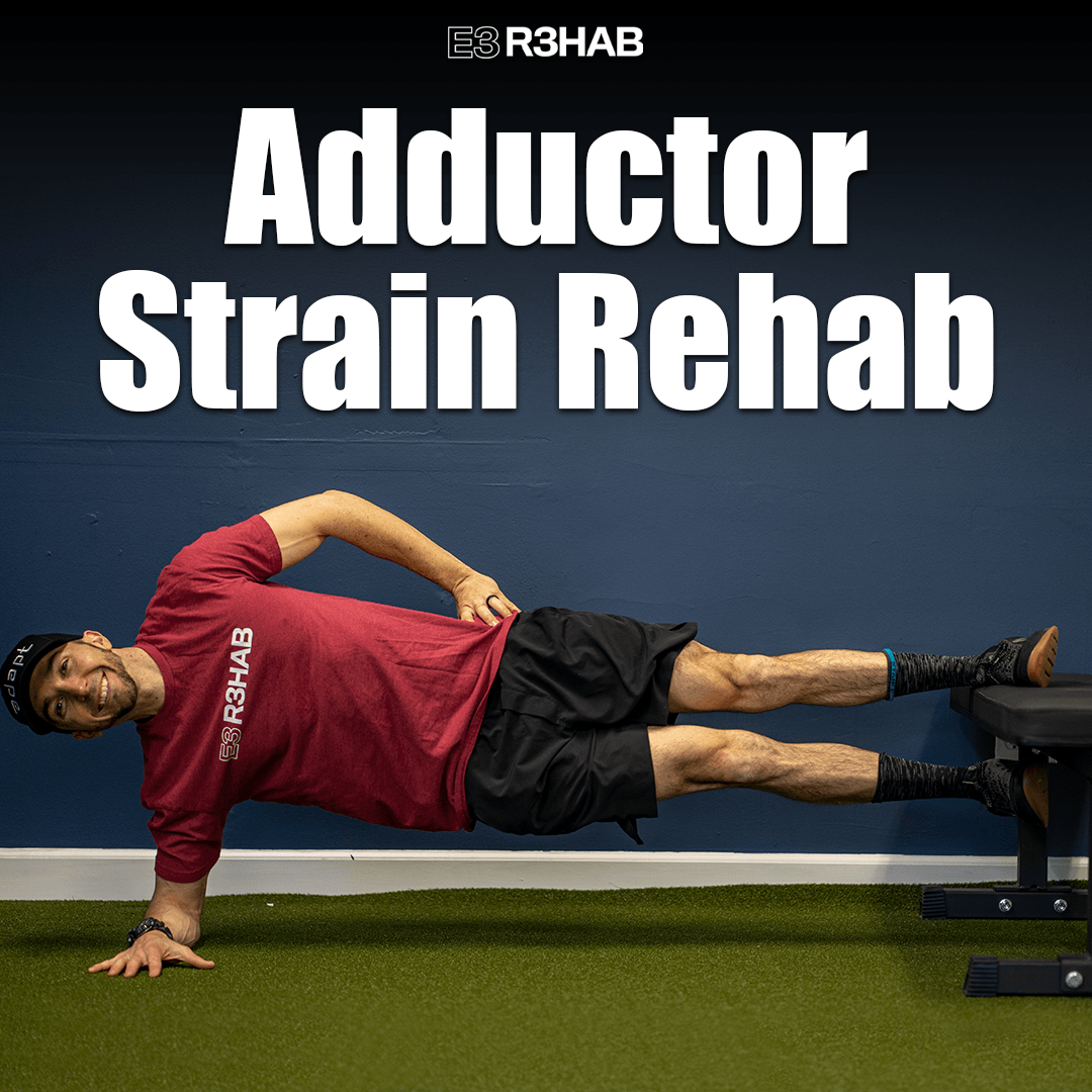 The Definitive Guide To Hip Adductor Anatomy Exercises Rehab Images