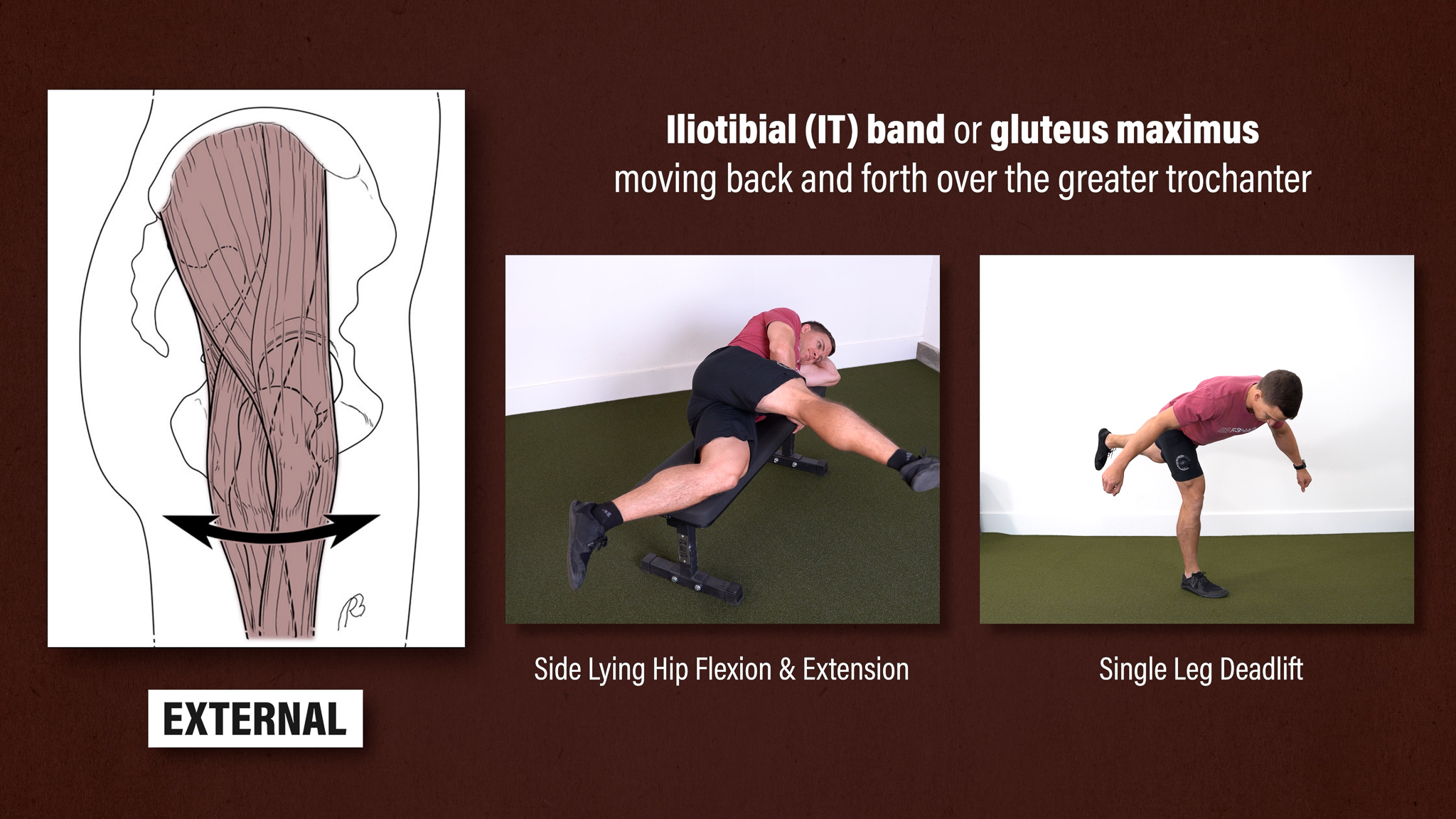 Snapping Hip Syndrome E3 Rehab