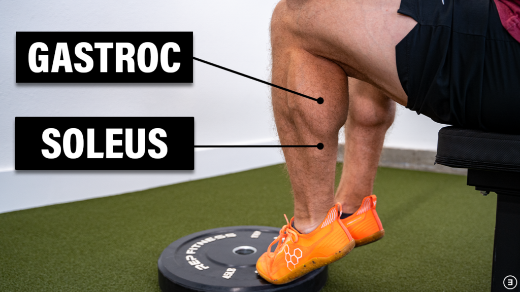 🚨 3 CALF STRAIN REHAB EXERCISES 🚨 The calf muscle consist of the