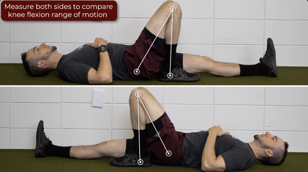 Flexion and extension movements of the leg about the knee joints