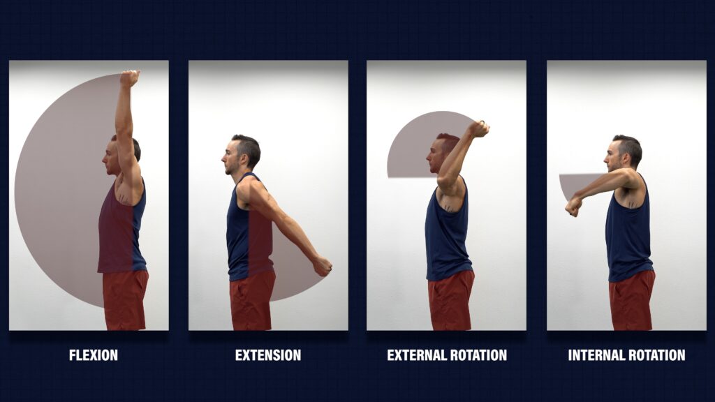 internal rotation shoulder