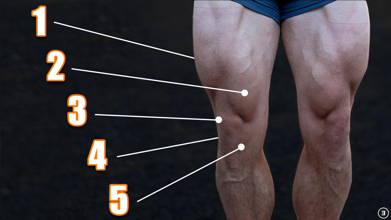 Best Quadriceps Exercises For Knee Pain - Knee Pain Explained