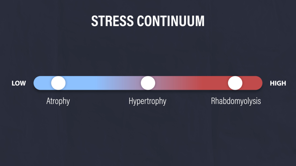 Stress Continuum