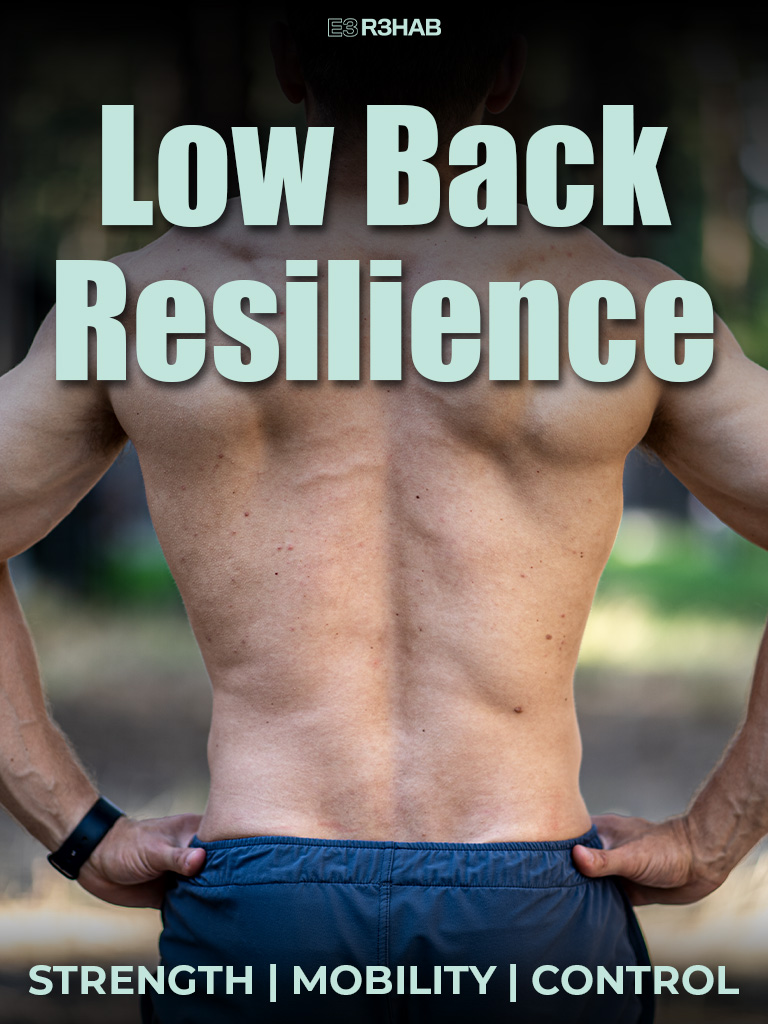 Low Back Resilience Program